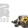 Thumbnail of post image 115