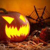 Thumbnail of post image 028